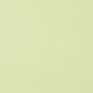 Brand New Thibaut Vinyl Wallpaper - Rimba Spring T14543